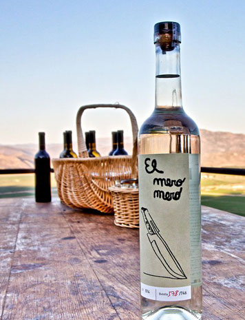 Diseño editorial del libro para entrenadores de la Federación Catalana de Fútbol