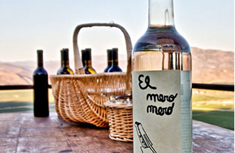 Diseño editorial del libro para entrenadores de la Federación Catalana de Fútbol